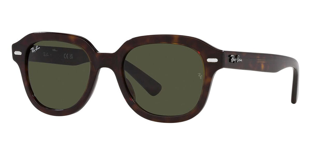 Ray-Ban Erik RB 4398 902/31