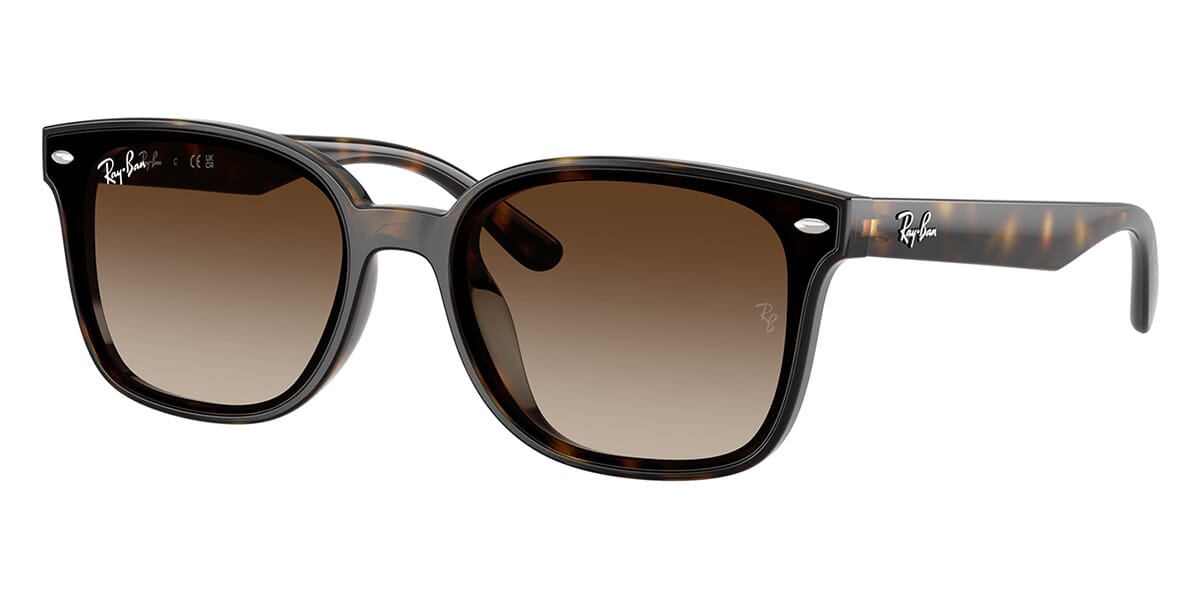 Ray-Ban RB 4461D 710/13